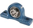 2-Bolt Pillow Block, 241mm, Cast Iron